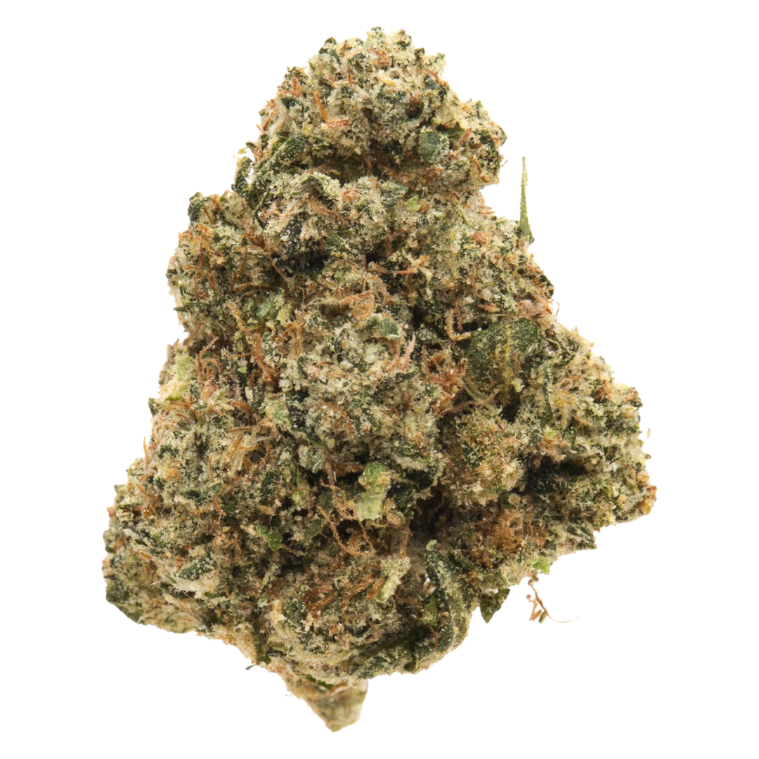 Premium 9 Pound Hammer Indica premium-9-pound-hammer-indica