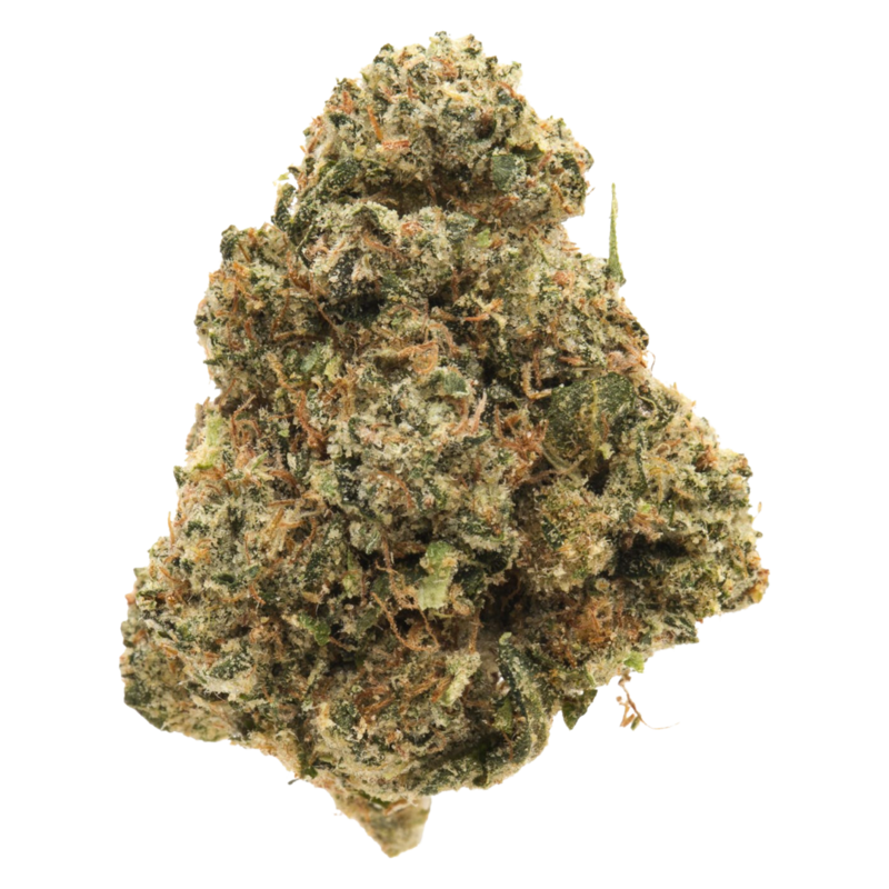 Premium 9 Pound Hammer Indica premium-9-pound-hammer-indica