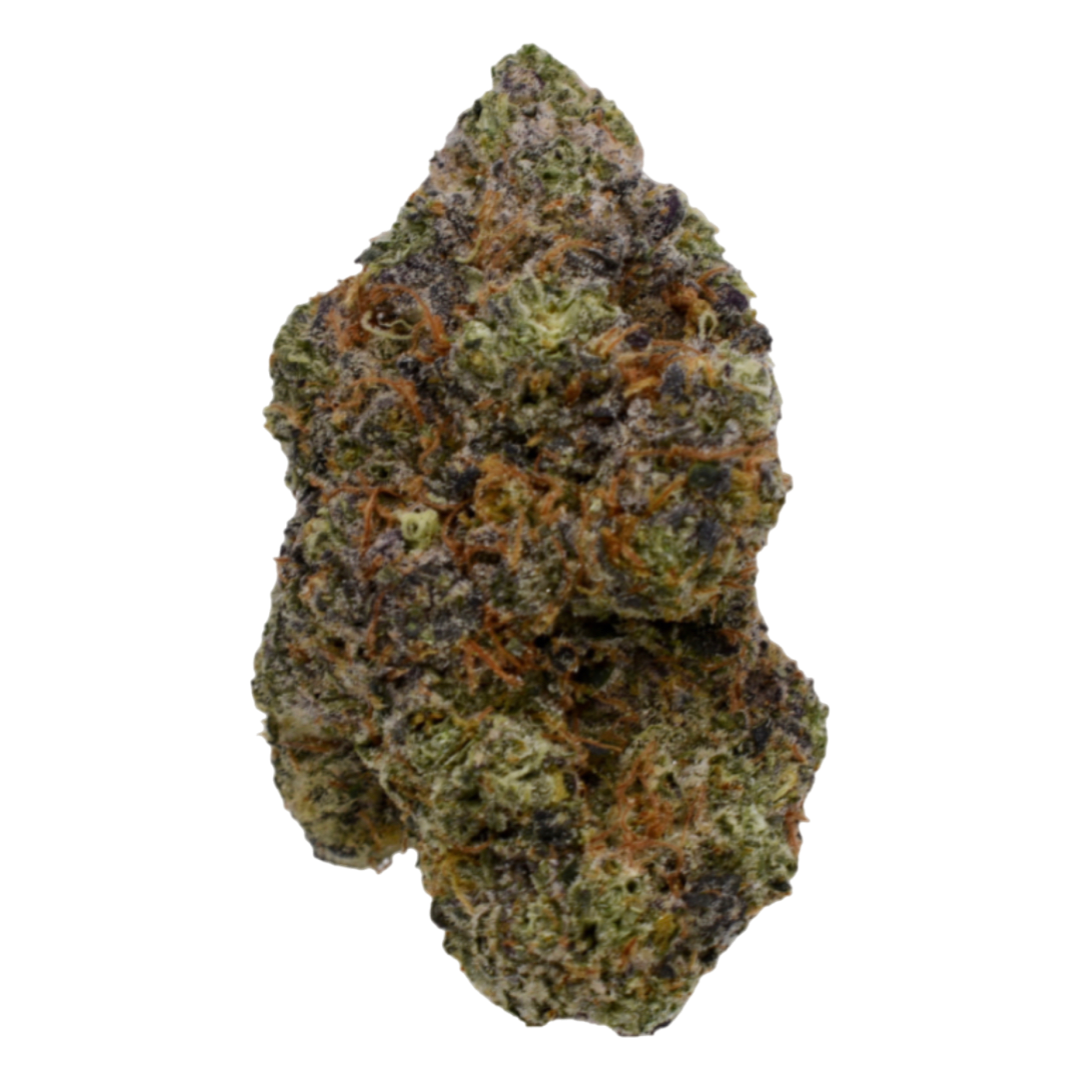 [Premium] Gelato Cakes Indica