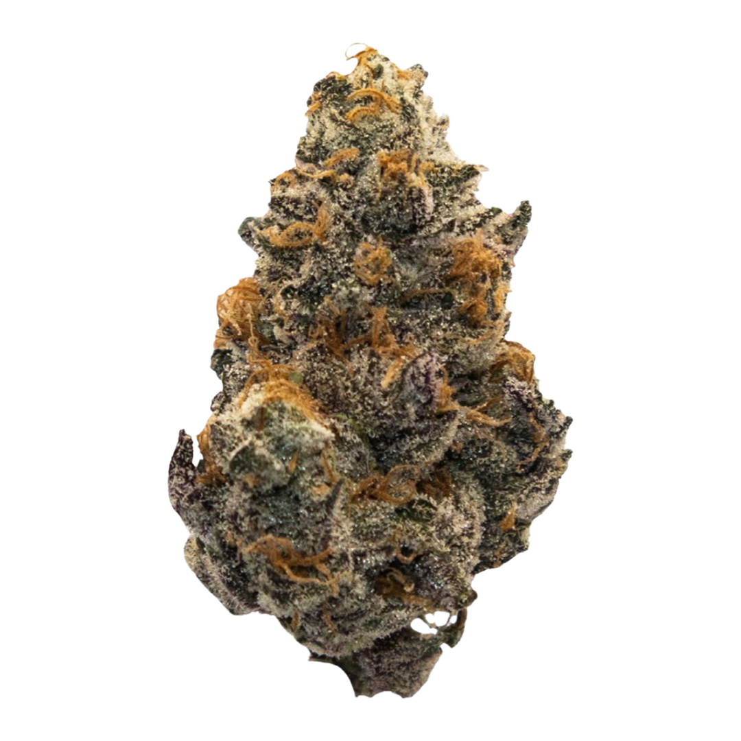[Top Shelf] Orange Fuel Indica