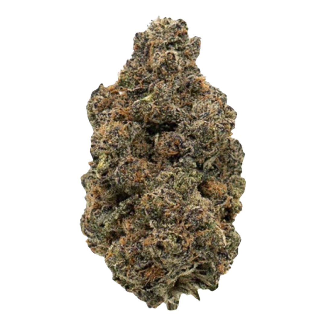 [Top Shelf] Forbidden Gusherz Hybrid