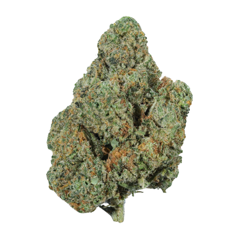 [Premium] Gelato Cookies Hybrid