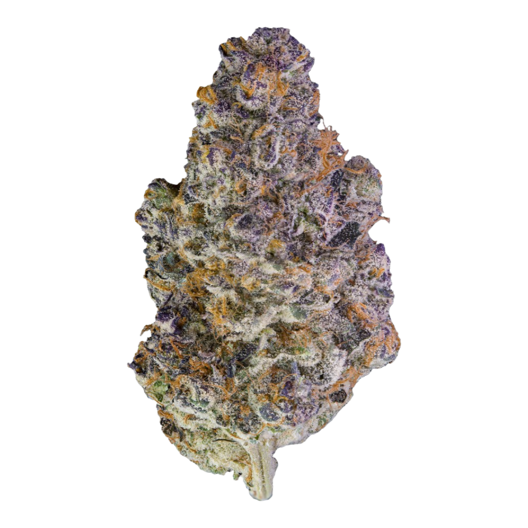 [Top Shelf] Saturn OG Hybrid