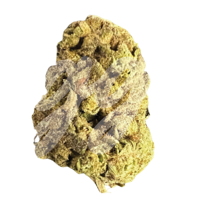 [Premium] Pillow Talk Indica
