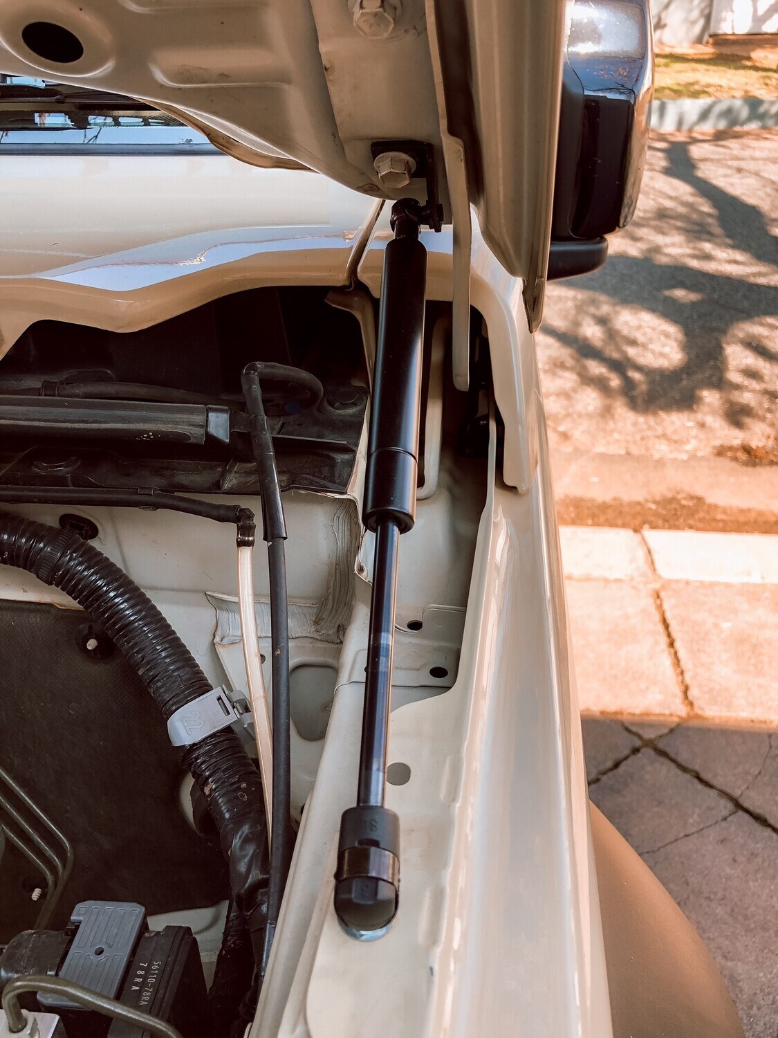 Gas Struts For The Bonnet (Sold as a pair)