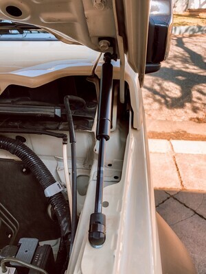 Gas Struts For The Bonnet (Sold as a pair)