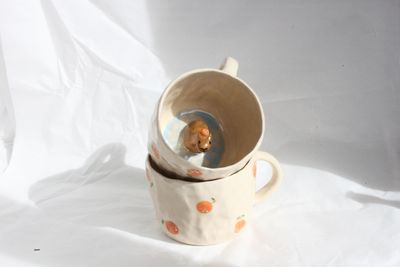Capybara Mug