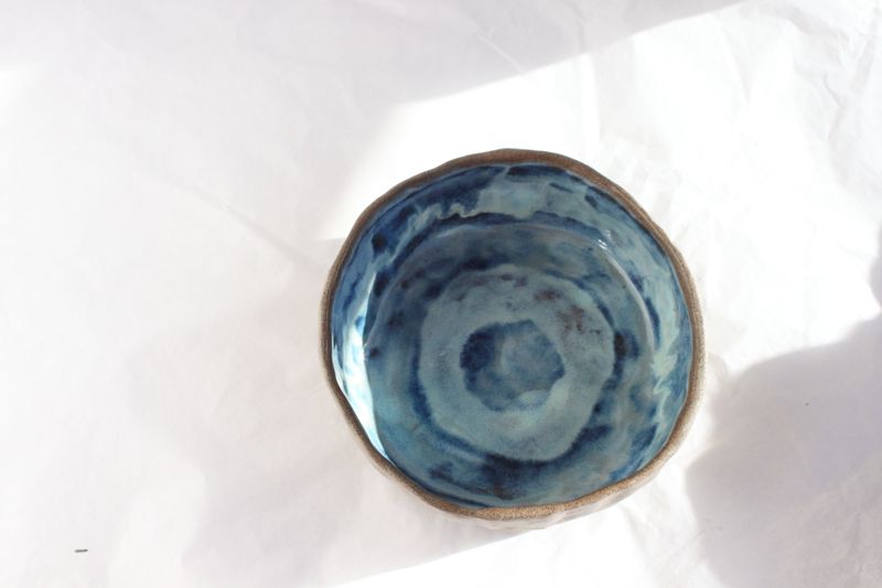 Pet Bowl