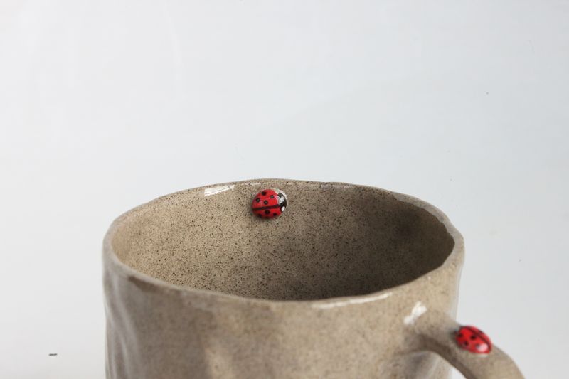 Stone Ladybug Mug