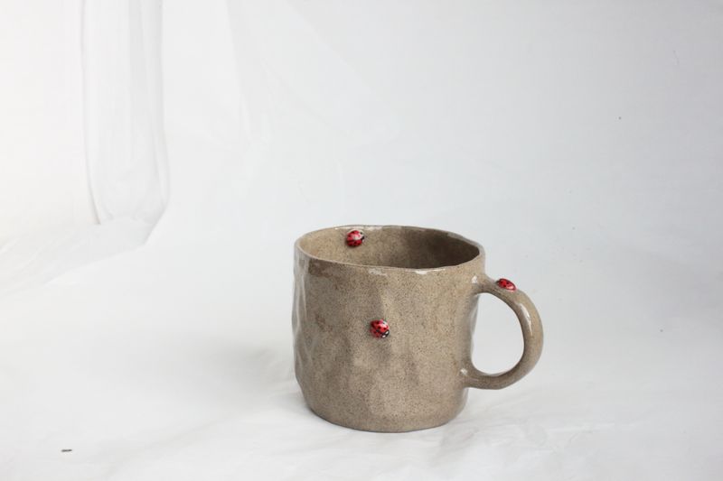 Stone Ladybug Mug