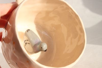 Pigeon Mug