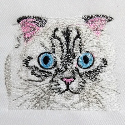 Cat Staring embroidery file