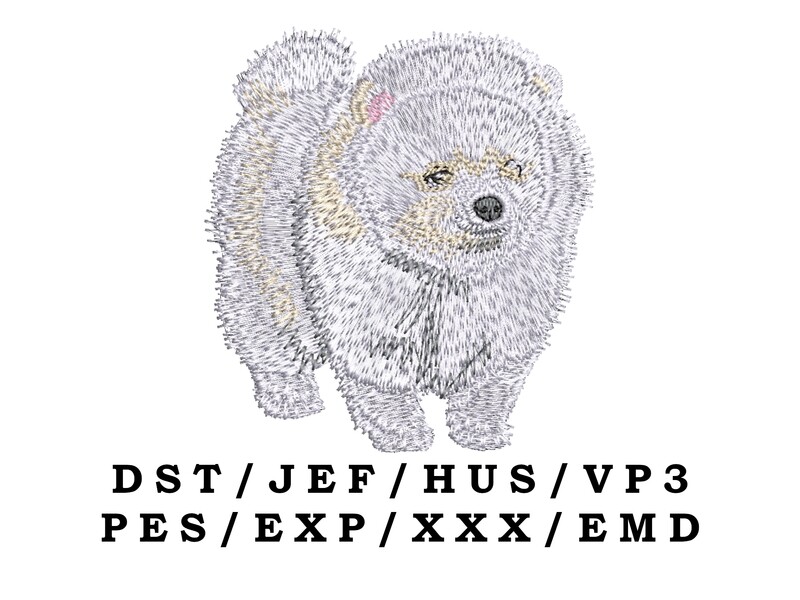 Pomeranian 4 - Full Body
