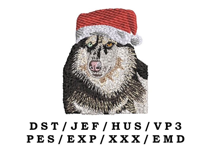 Siberian Husky Wearing Santa Hat