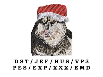 Siberian Husky Wearing Santa Hat