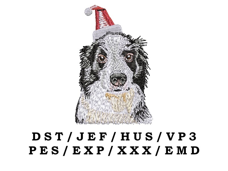 Border Collie Wear Santa Hat embroidery file - Christmas Dog Realistic Dog Trendy Embroidery Designs