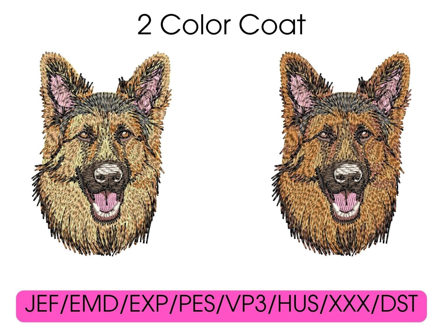 German Shepherd 4
