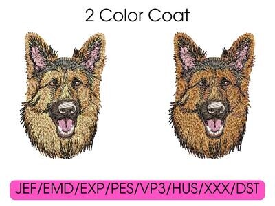 German Shepherd 4