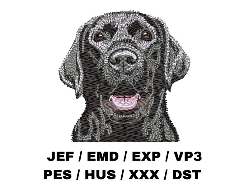 Labrador Retriever 3