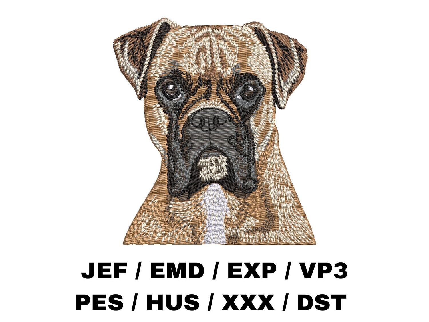 Boxer 1