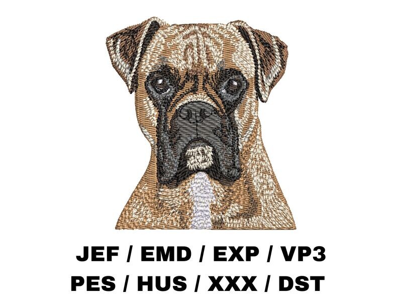 Boxer 1