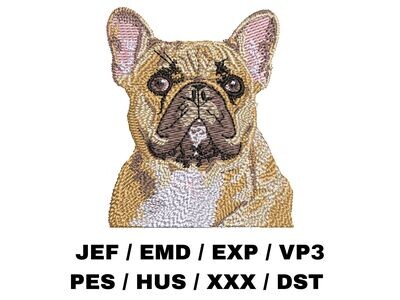 French Bulldog 1