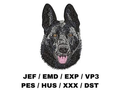 German Shepherd 8