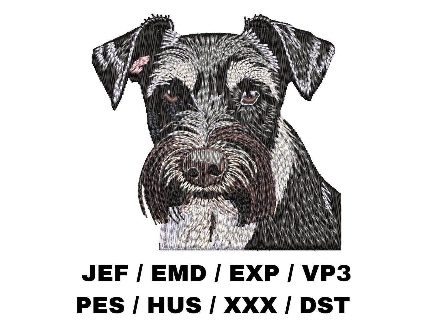 Miniature Schnauzer 1