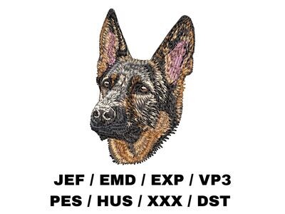 German Shepherd 5