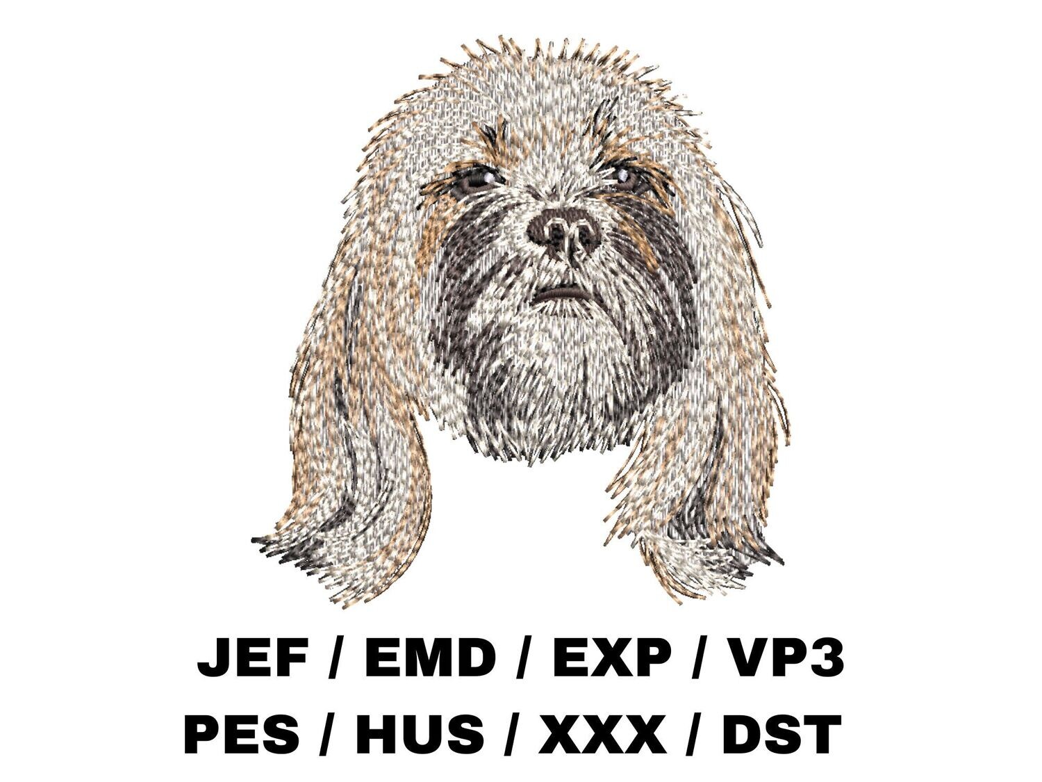 Lhasa Apso 1