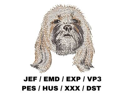 Lhasa Apso 1