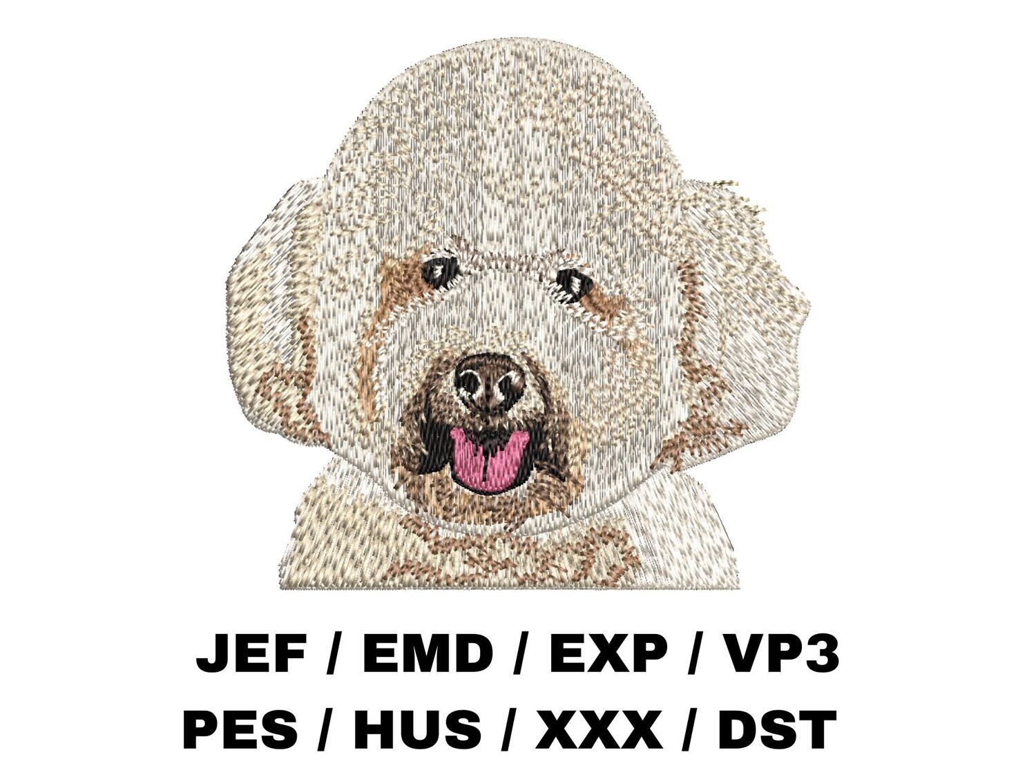 White Poodle
