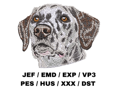 Dalmatian 1