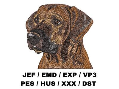 Rhodesian Ridgeback 2