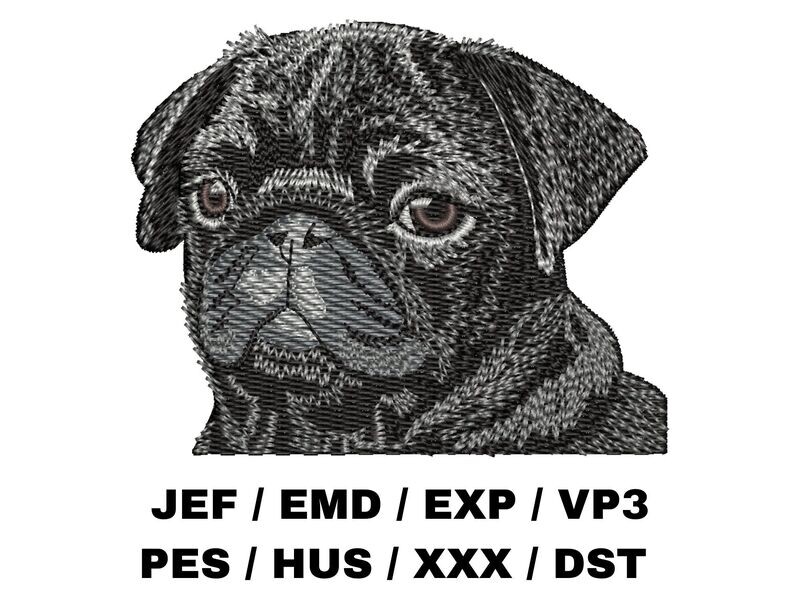 Pug 1