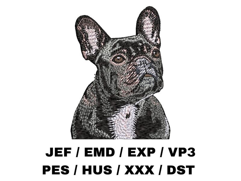 French Bulldog 3