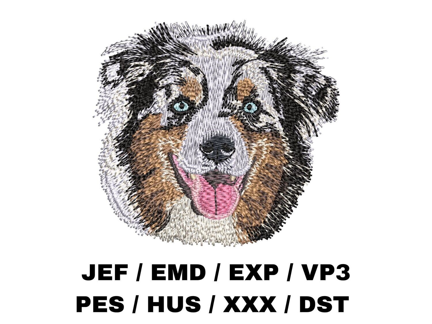 Miniature American Shepherd