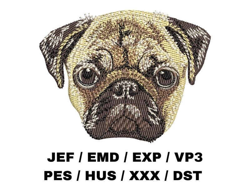 Pug 2