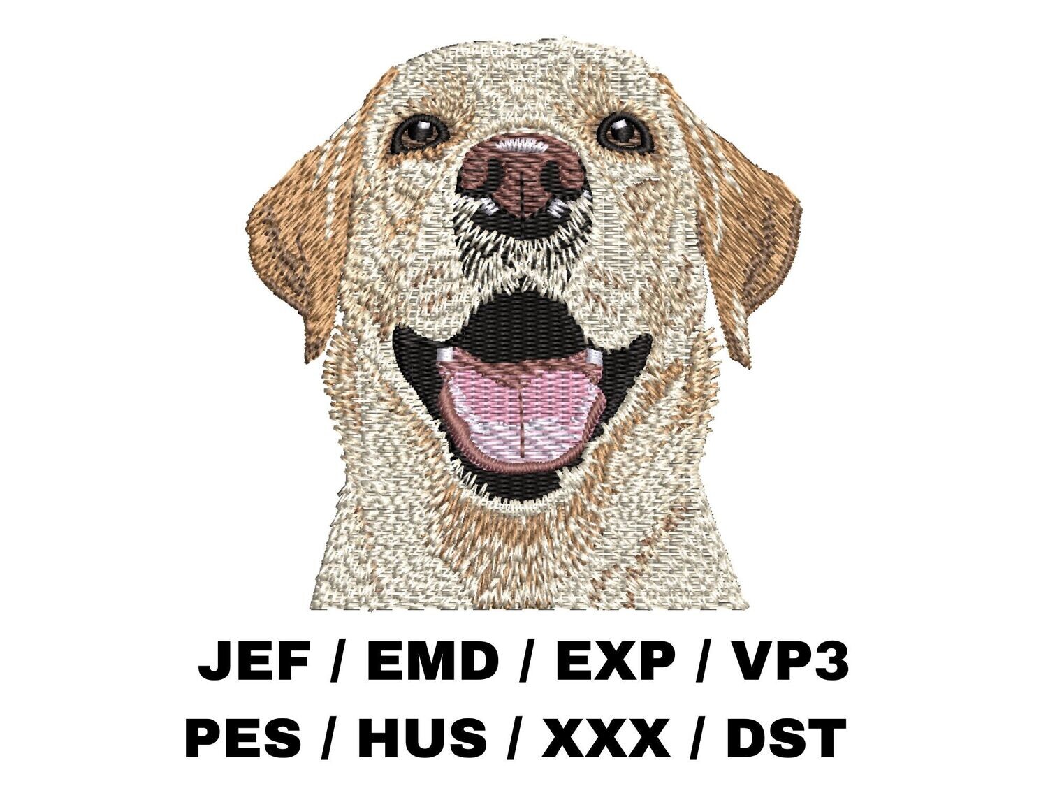 Labrador Retriever 2