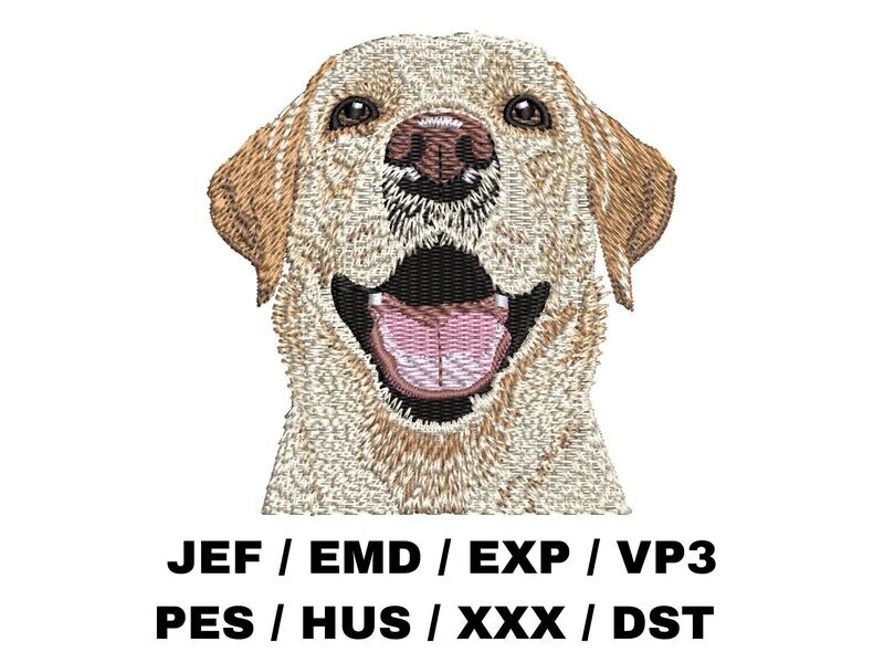 Labrador Retriever 2