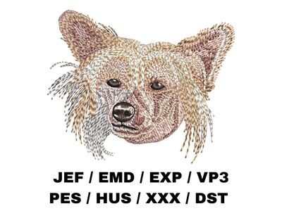 Chinese Crested Dog 1
