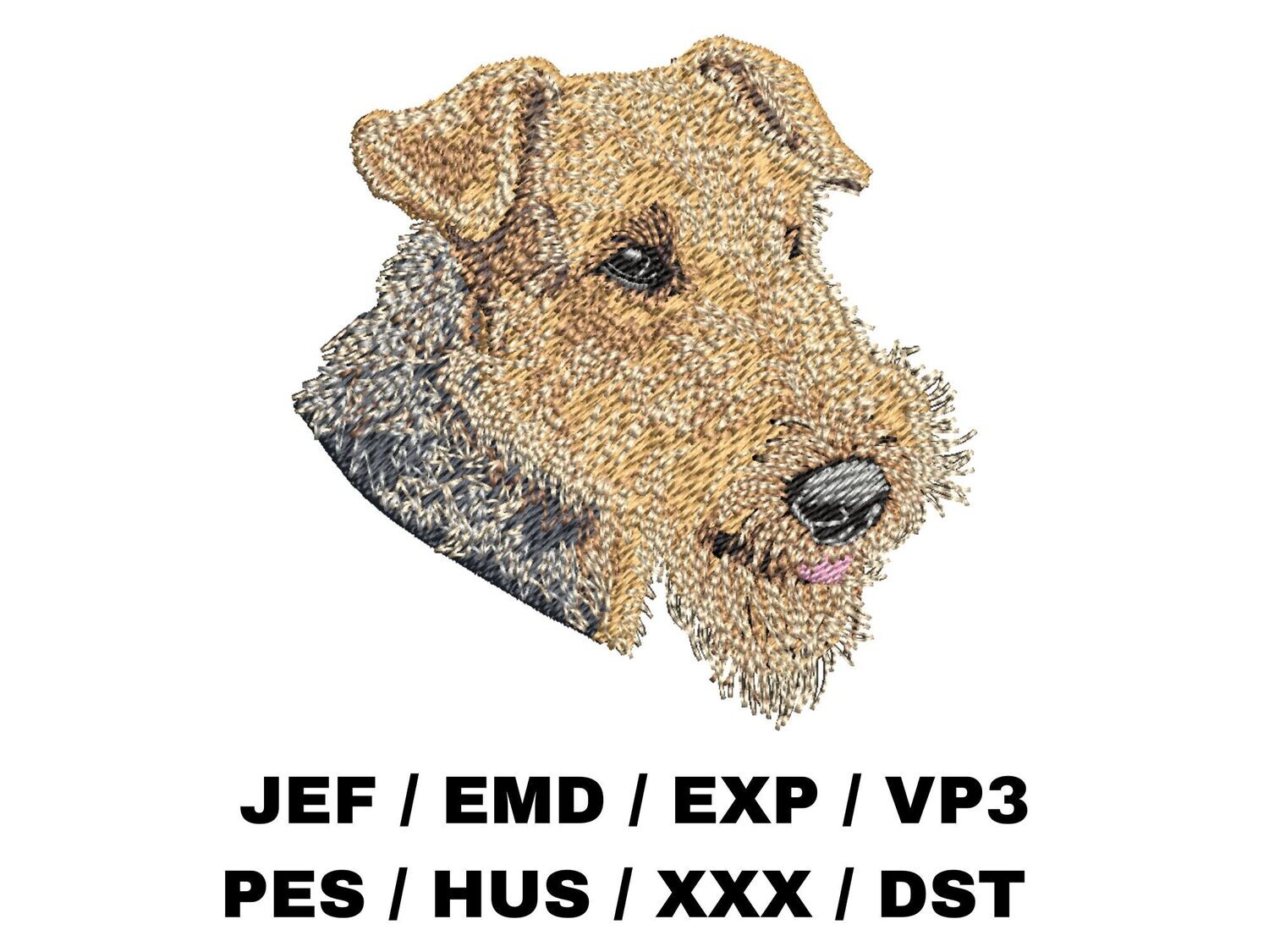 Airedale Terrier 1