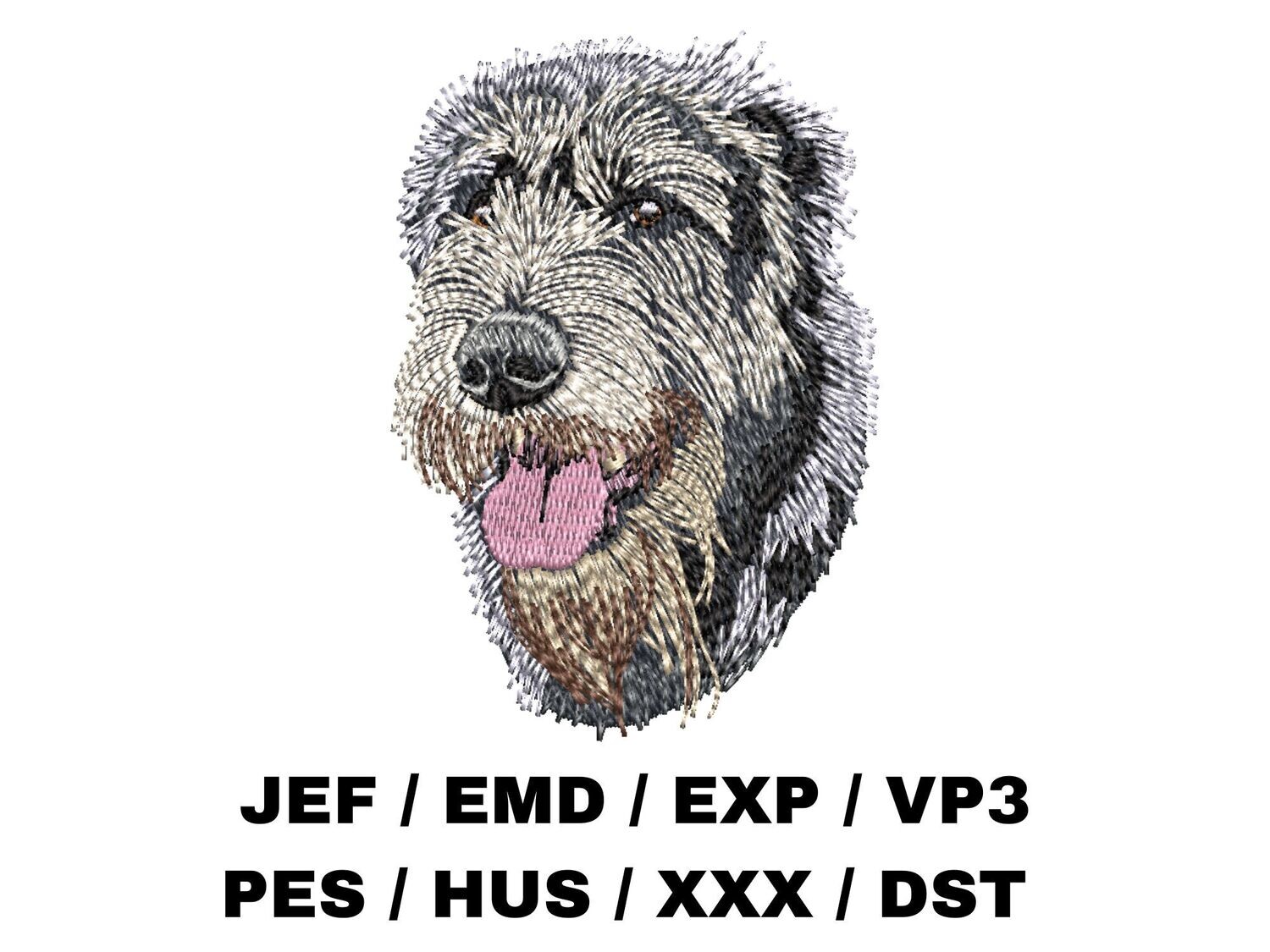 Irish Wolfhound 2
