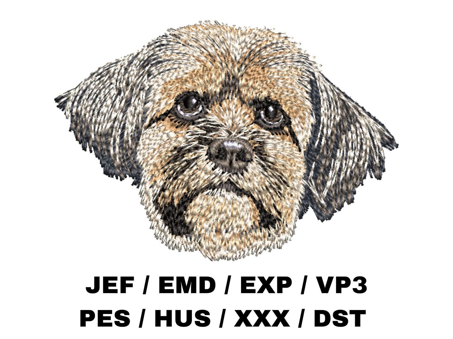 Lhasa Apso 2