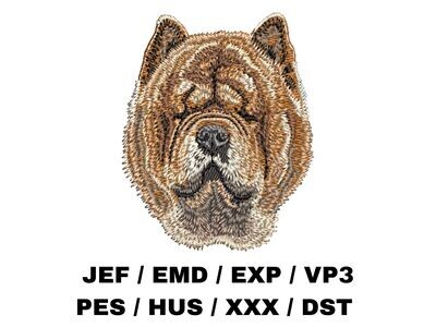 Chow Chow 1