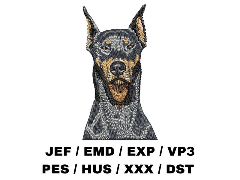 Doberman Pinscher 1