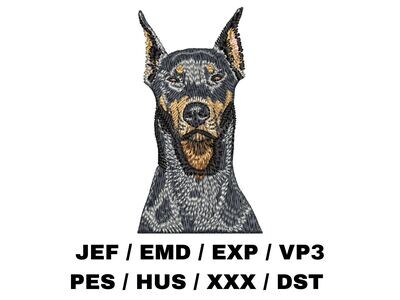 Doberman Pinscher 1