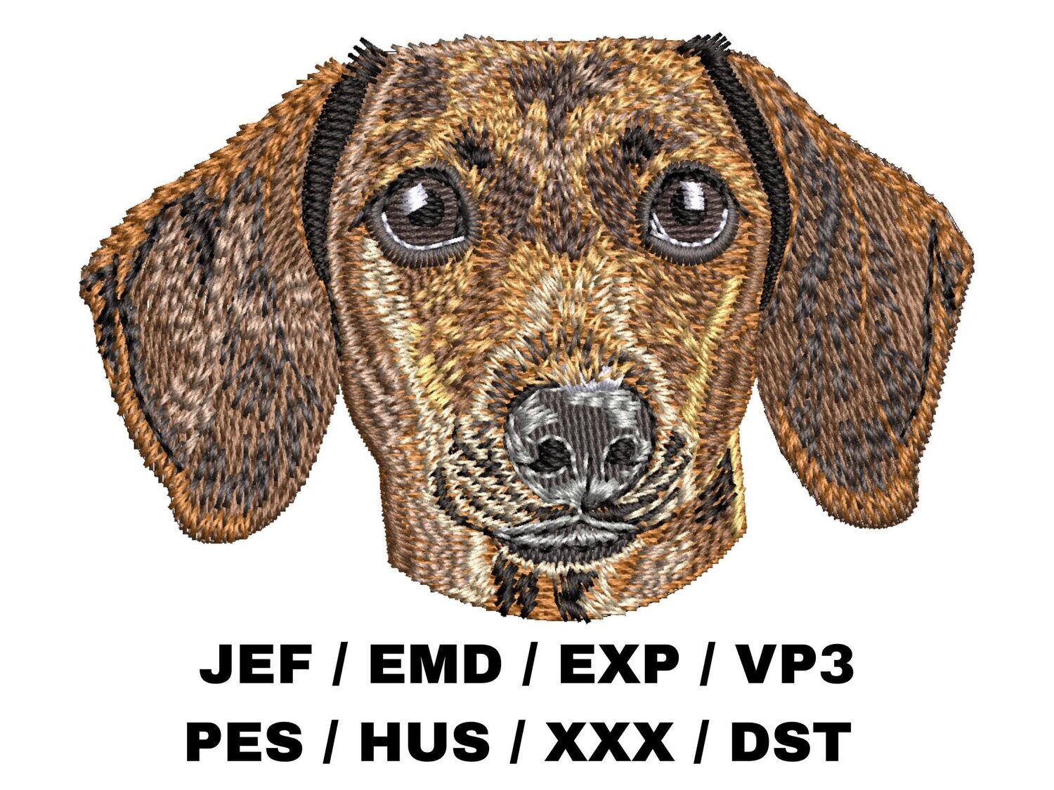 Dachshund 2