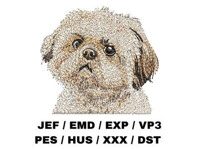 Shih Tzu