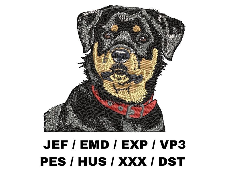 Rottweiler 1